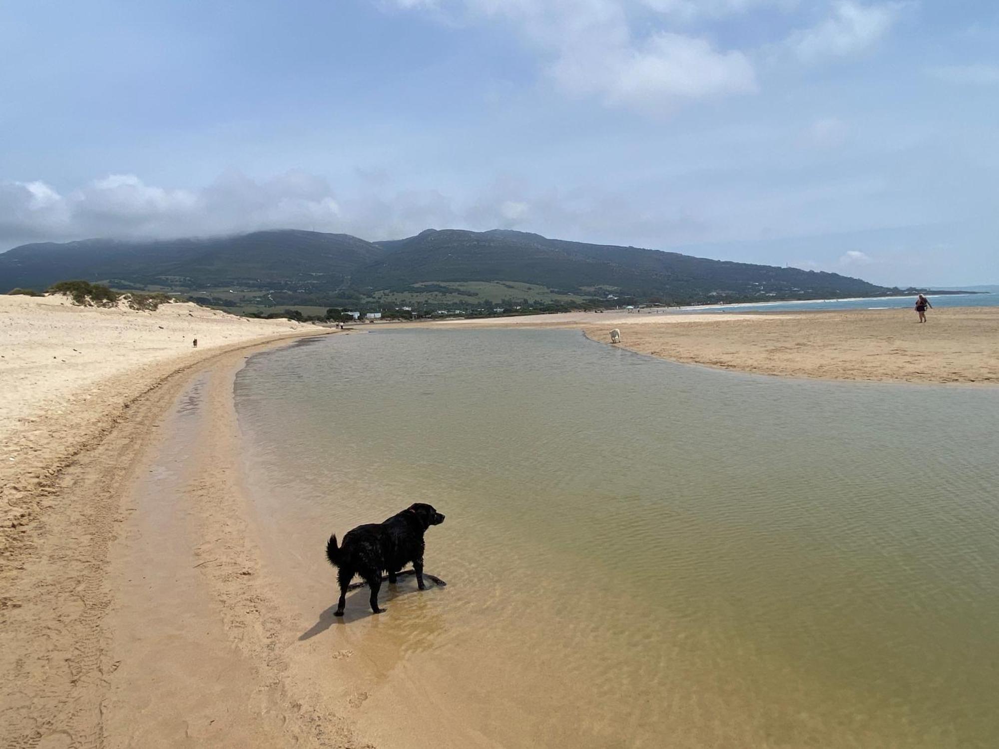 Rustic Cabin Tarifa 4 Guests 10 Minutes To Beach Εξωτερικό φωτογραφία