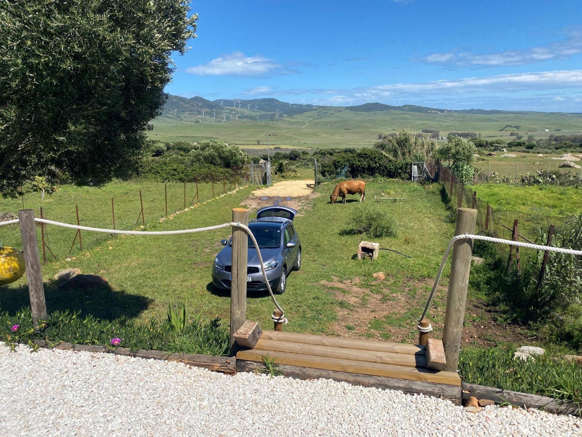 Rustic Cabin Tarifa 4 Guests 10 Minutes To Beach Εξωτερικό φωτογραφία